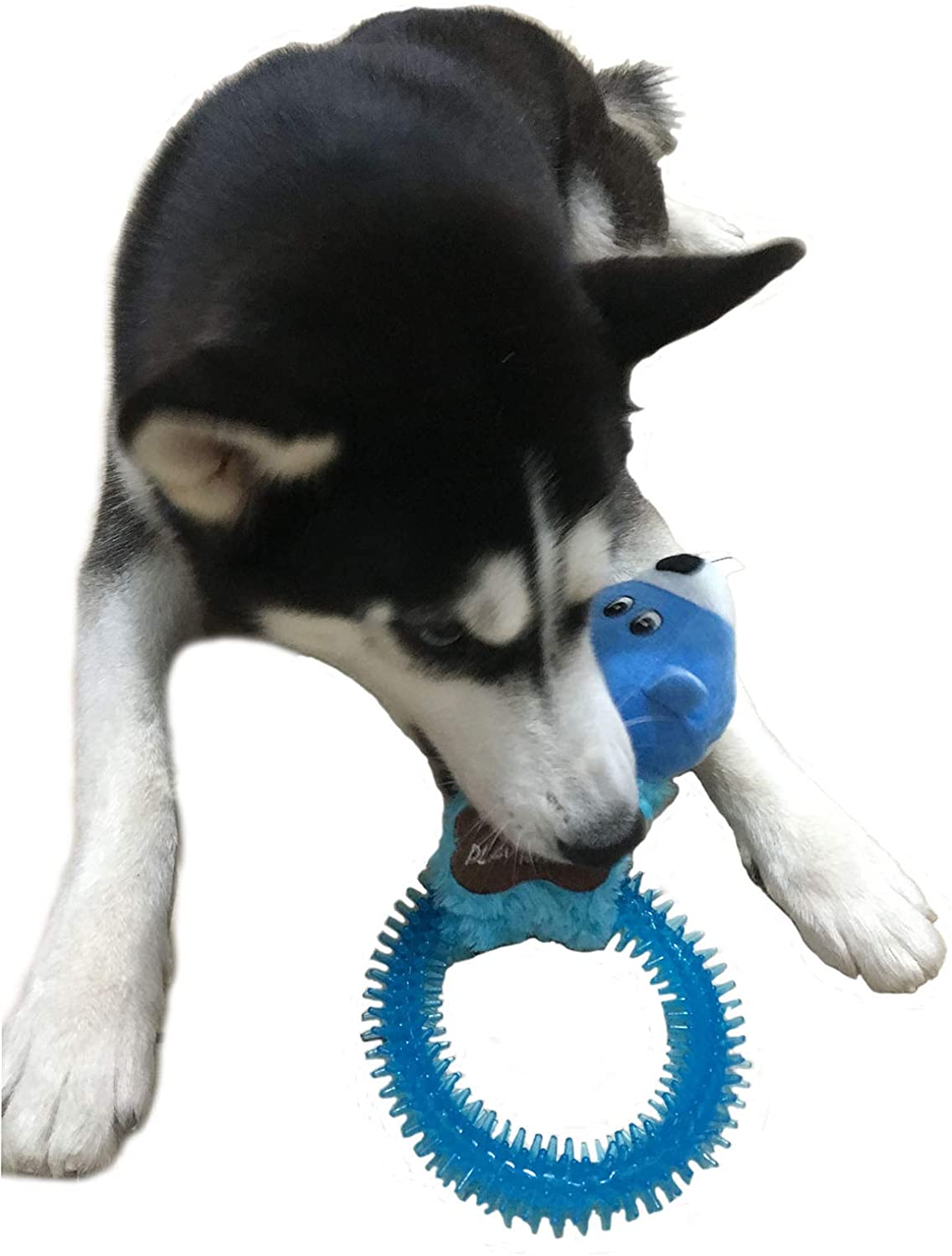  MULOVE Juguete Interactivo multichirriador para Perro, Anillo de TPR con Peluche para Masticar y Jugar para Perros medianos y Grandes 