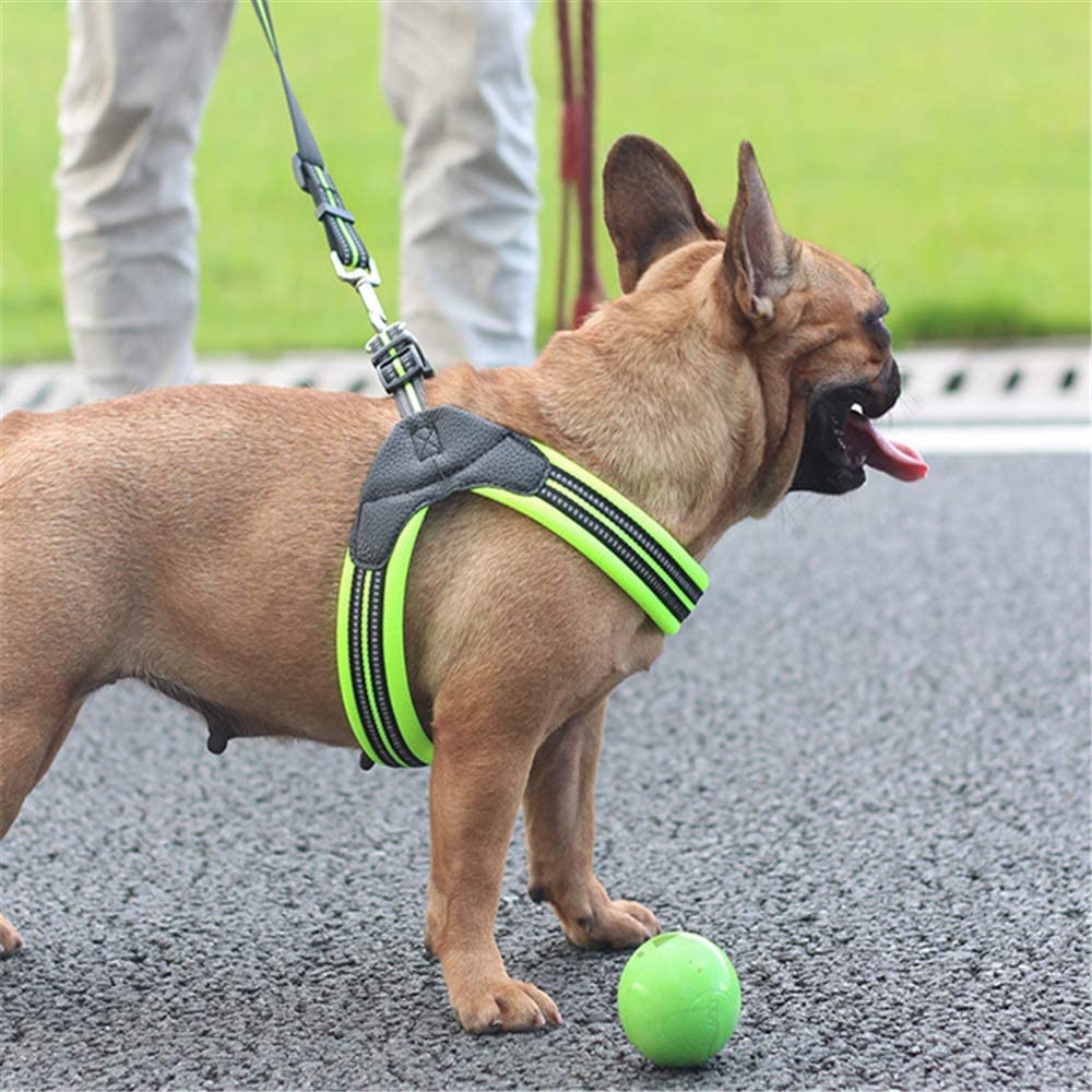  MYYXGS Arnés de Correas para Perros: Adecuado para Perros pequeños y medianos. No aprieta el Cuello con Rayas Reflectantes. Fácil de Usar. Punzones a Prueba de explosiones. Duradero L 