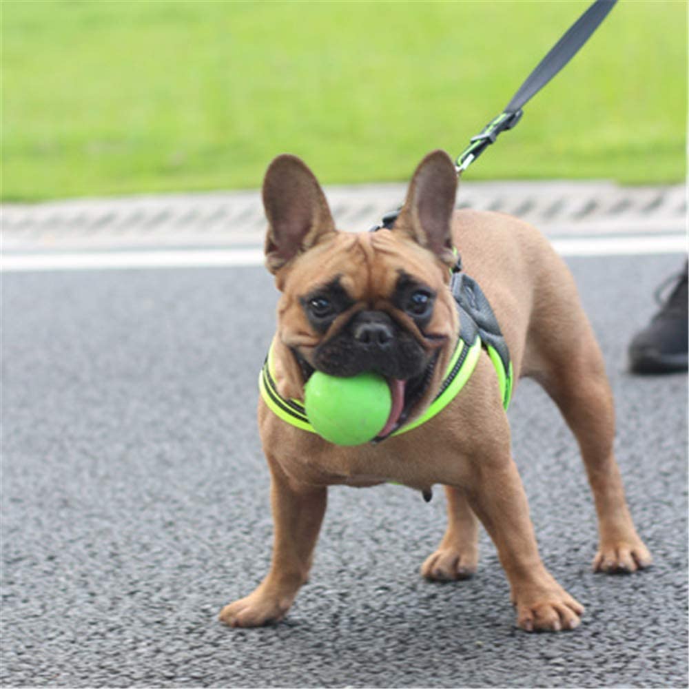  MYYXGS Arnés de Correas para Perros: Adecuado para Perros pequeños y medianos. No aprieta el Cuello con Rayas Reflectantes. Fácil de Usar. Punzones a Prueba de explosiones. Duradero L 