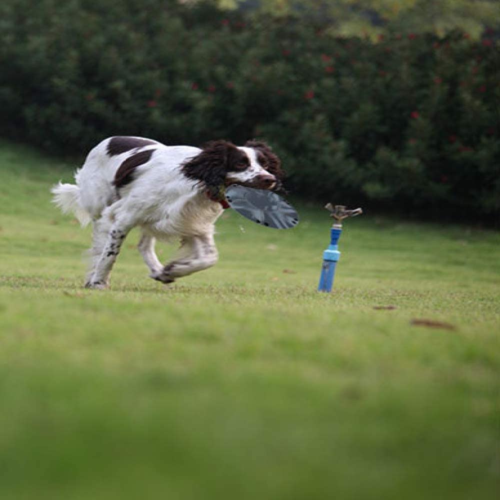  MYYXGS Juguete Resistente A La Mordedura De Frisbee De Silicona para Mascotas Juguete Masticable para Mascotas TazóN Plegable para Mascotas 