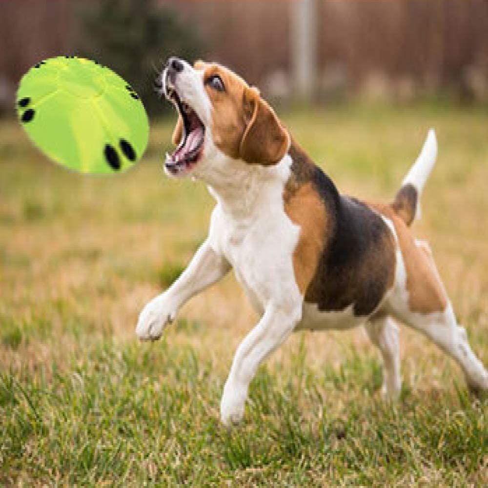  MYYXGS Juguete Resistente A La Mordedura De Frisbee De Silicona para Mascotas Juguete Masticable para Mascotas TazóN Plegable para Mascotas 