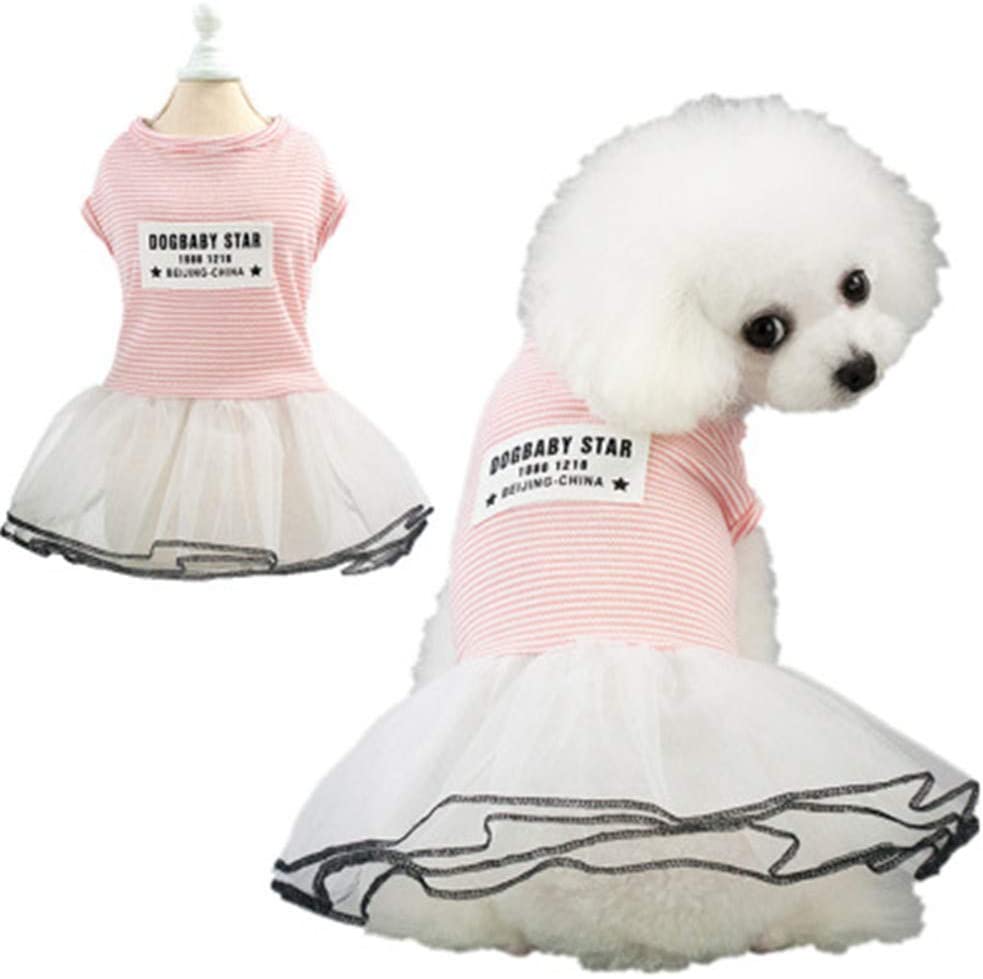  MYYXGS Ropa para Mascotas Ropa para Perros Falda para Mascotas Suministros para Mascotas Primavera y Verano Falda a Rayas Falda de Encaje es Adecuada para Perros pequeños VIP Teddy Schnauzer M 