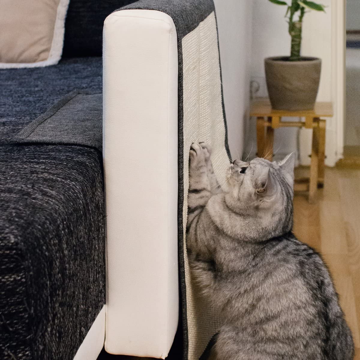  Navaris Rascador para Gatos con Organizador - Protector con Bolsillos contra arañazos de Gato y Perro - Afilador de uñas de sisal para Mascotas 