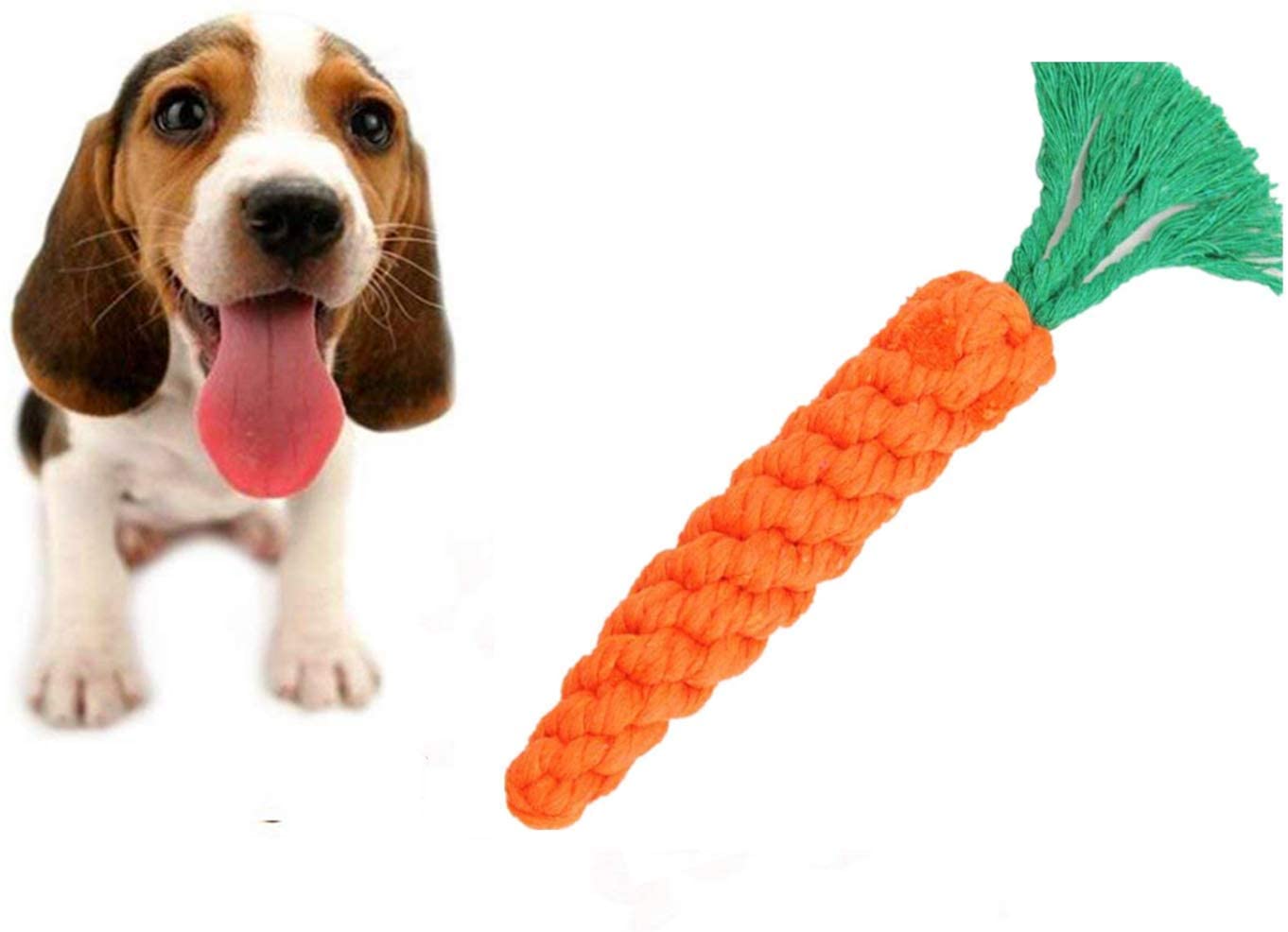  Nifogo Pet Molar Bite Toy ，Juguete Multifuncional para mordedura de Molar Juguete con Ventosa Juguetes para morder para Perros Juguetes para Perros Molar para Mascotas (Verde, 1 pcs) 