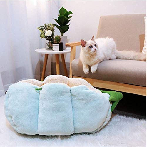  NOSJSJSOFJ DFSFS Cats House Warm Coral Fleece Mascotas Cama para Gatos Perros pequeños Nido Guisante Almohadilla para Dormir Invierno Lavable Interior Kitten Mats Productos 