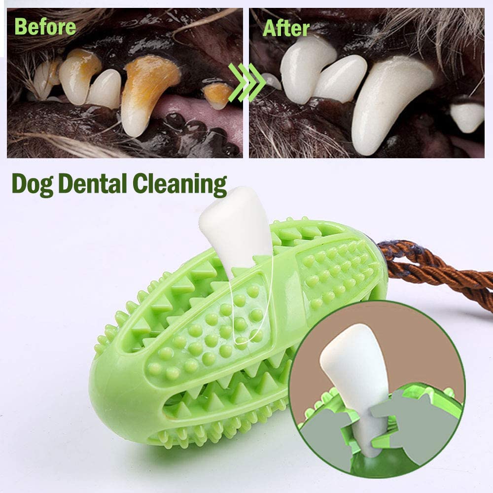  onebarleycorn – Cepillo de Dientes para Perro, Juguete para Masticar Pelota de Entrenamiento para Cachorros Cuidado Dental Limpieza de Dientes no tóxica Goma Natural Resistente a mordidas (Azul) 