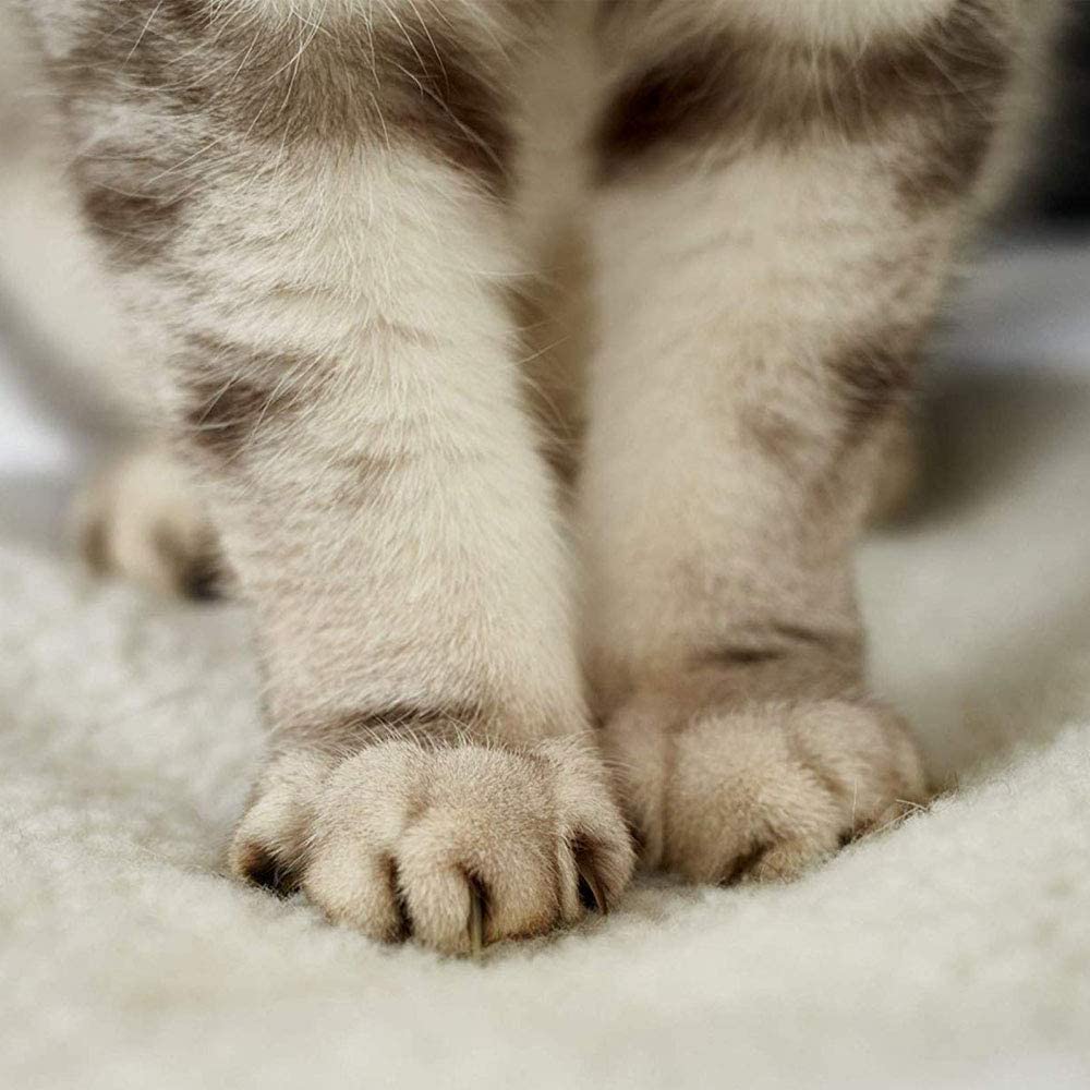  OneBarleycorn – Manta térmica para Gatos Perros,Alfombra de Cama para Mascotas Auto calefacción sin Electricidad y baterías 