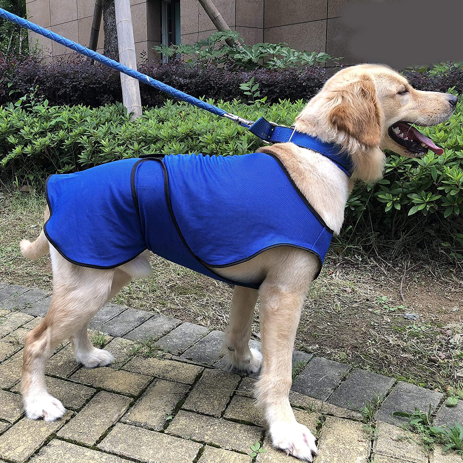  Pawhut Chaqueta Chaleco de Refrigeración Perro Ropa de Verano Chaleco para Mascotas Chaqueta Refrescante Perro Espalda 40cm Poliéster 