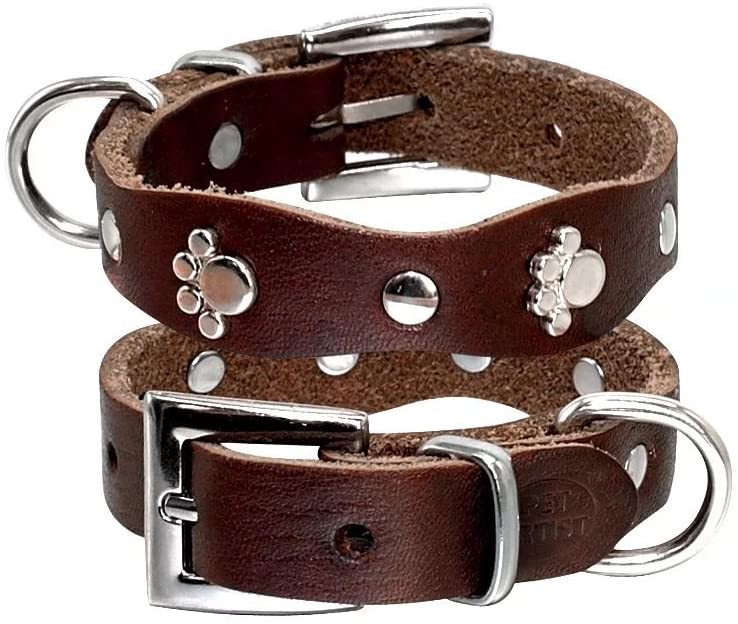  PET ARTIST - Collar de Piel para Perro pequeño con Tachuelas de Pata Suave para Mascota Cachorro Chihuahua XXS XS S M marrón 