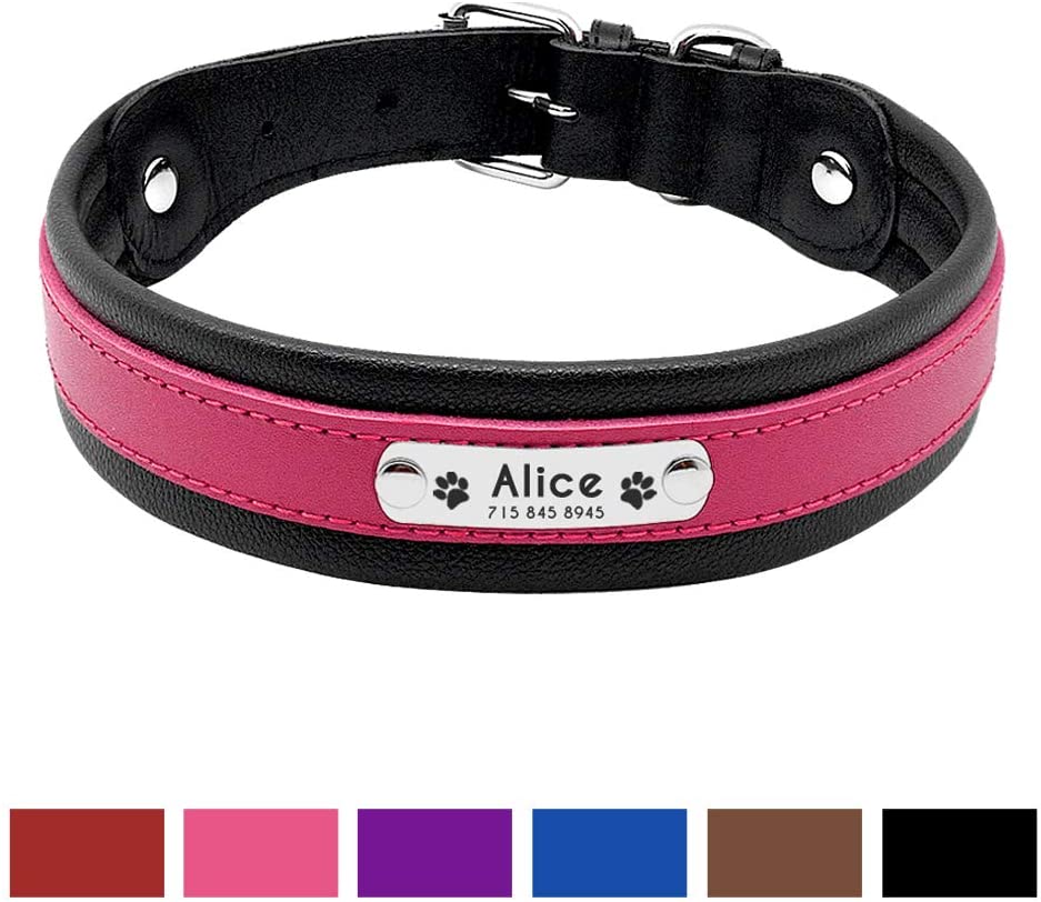  PET ARTIST Collar para Perro con Nombre de Perro Grabado Personalizado de Piel Acolchada para Mascotas, Etiquetas de identificación para Mascotas 