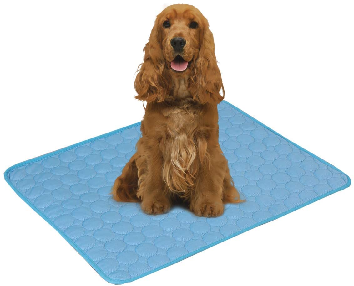  PETCUTE Alfombrilla de refrigeración para Mascotas Alfombra de enfriamiento Perros Manta Frio Cojín Fresco Cama de Perro para Verano 