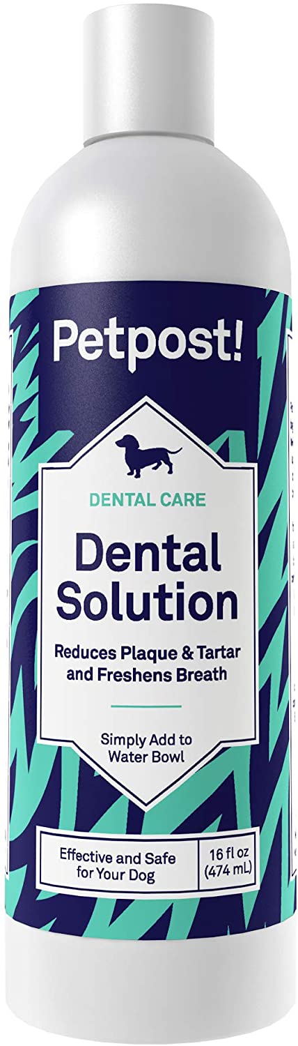  Petpost | Solución Dental para Perros - Aditivo De Agua Que Mata El Mal Aliento - Plaquetas Y Caries Dental - Solución De Limpieza Natural para Los Dientes 