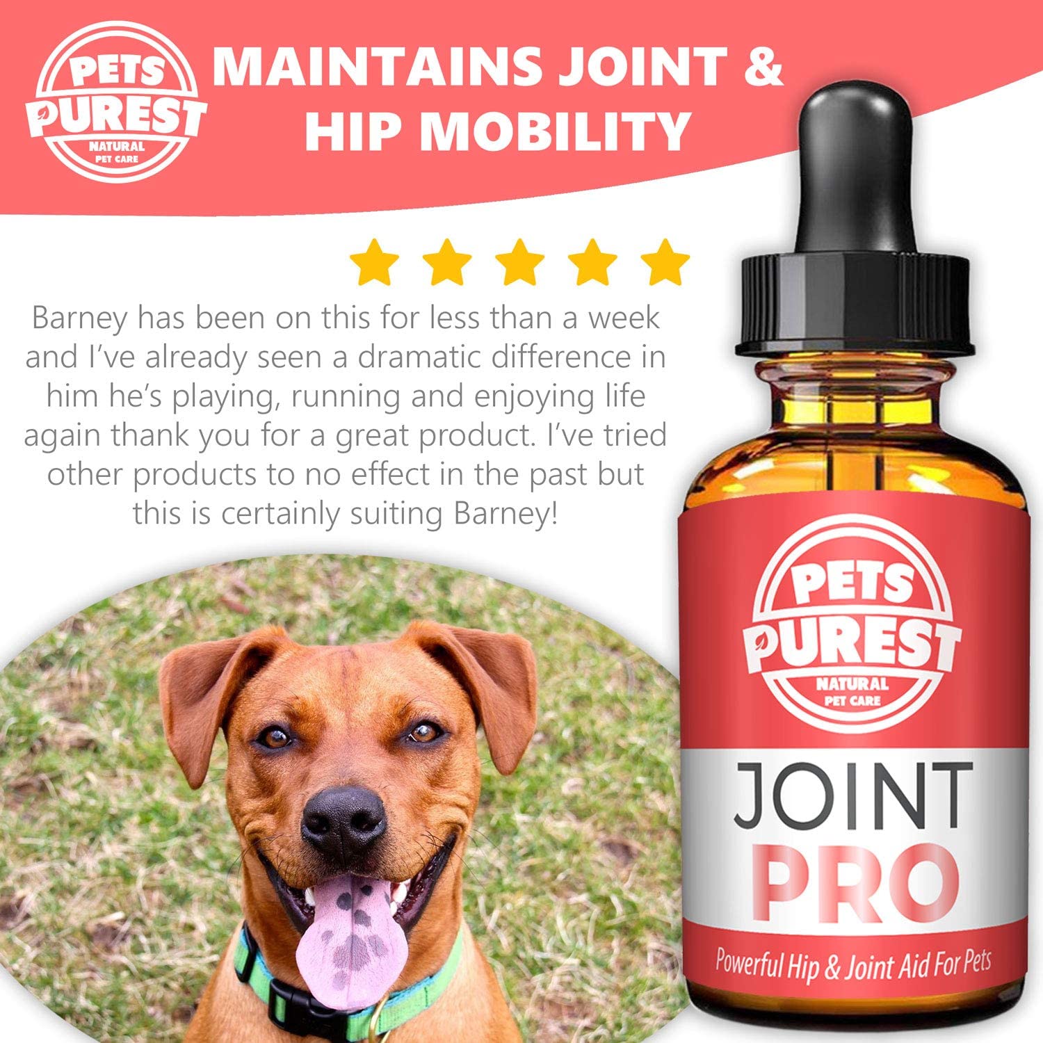  Pets Purest Potente suplemento para el Cuidado de Las Caderas y Las articulaciones (admite articulaciones rígidas, Mejora la Movilidad y repara los daños para Perros, Gatos y Mascotas) 