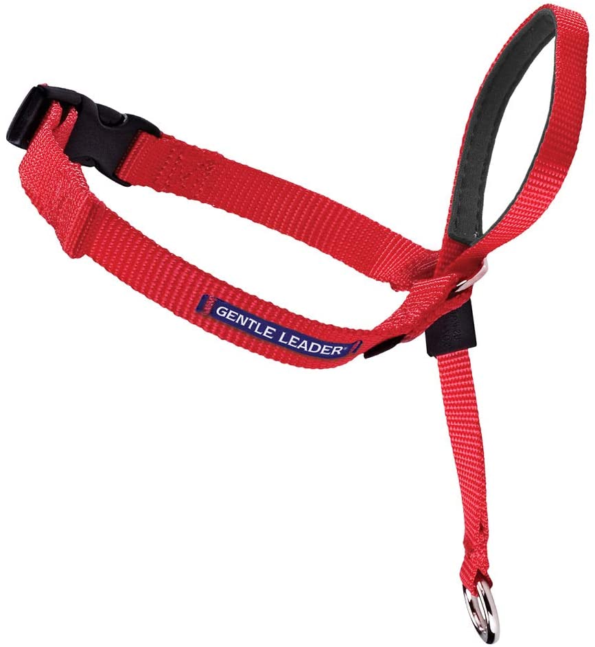  PetSafe Collar de Cabeza DVD de Entrenamiento (Idioma español no garantizado) 