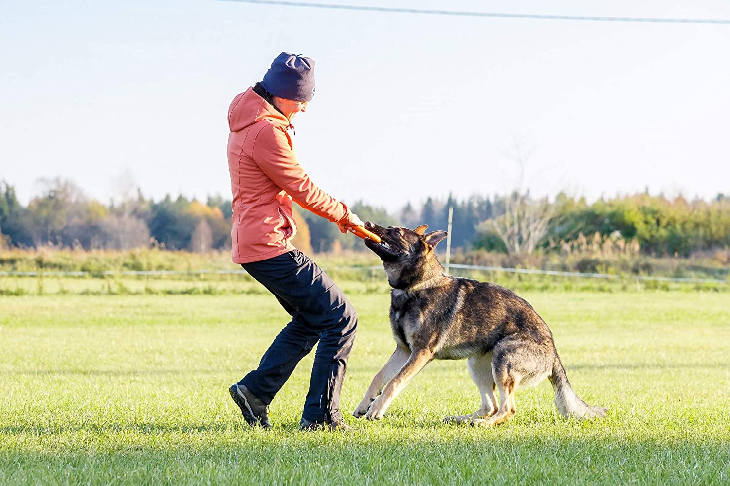  PlayfulSpirit Anillo de Goma Duradero: Juguete para Masticar para Cachorros y Perros Adultos, Juguete Ideal para el Entrenamiento del Perro, para Jugar a los Tirones, a Arrojar, Capturar 