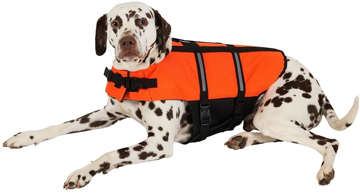  Ploopy Chaleco Salvavidas Perro, Perros de Peluche Bichon Seguridad Natación Ropa Chaleco Salvavidas con Quick Release Ajuste Fácil Cinturón Ajustable Orange 