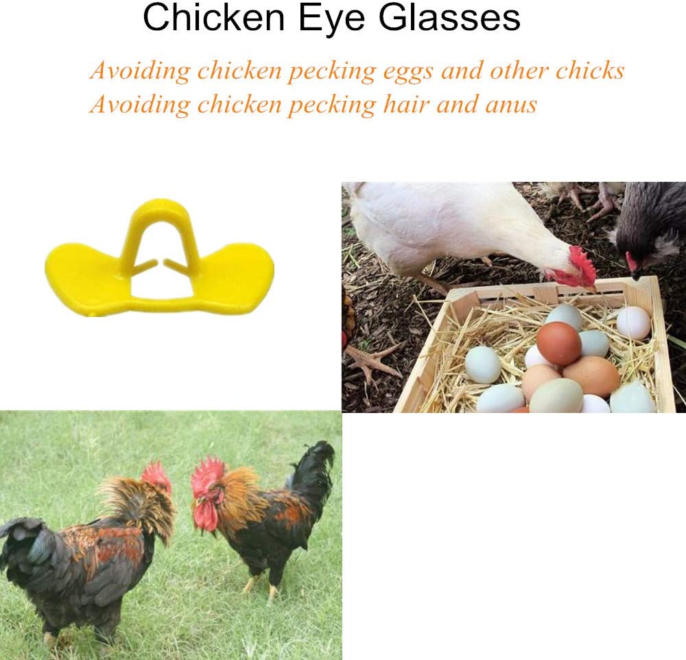  PROBEEALLYU 100Pcs Gafas de Pollo Plástico Amarillo Anti-picoteo Gafas Equipo de Cultivo Sin Perno para Proteger Las Plumas/Dedos de los pies Mejorar la tasa de Supervivencia del Pollo 