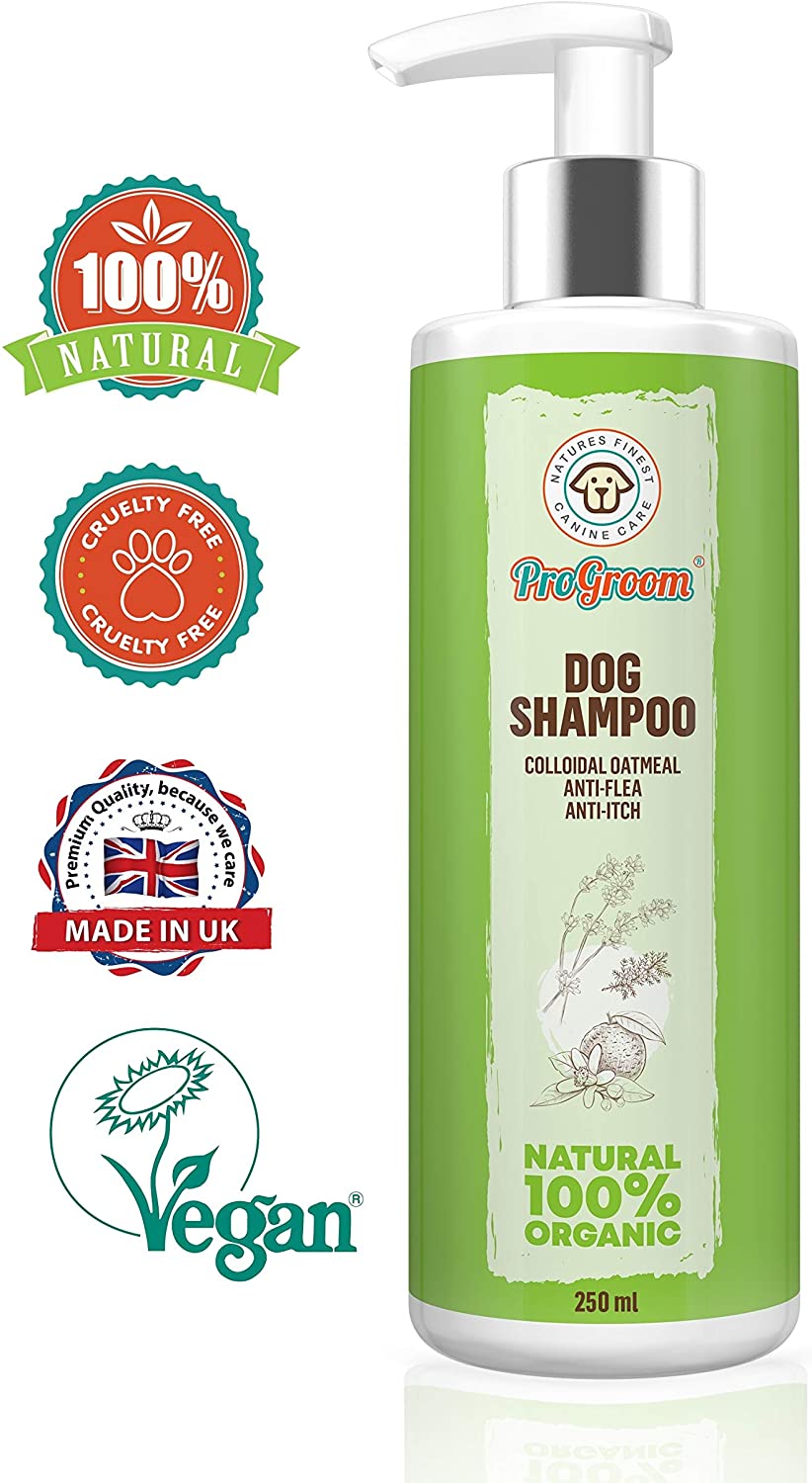  ProGroom Champú para perros con Harina de Avena Natural - El champú tratamiento anti pulgas con una fórmula para el alivio de la picazón en la piel -Champú y Acondicionador delicado para cachorros 