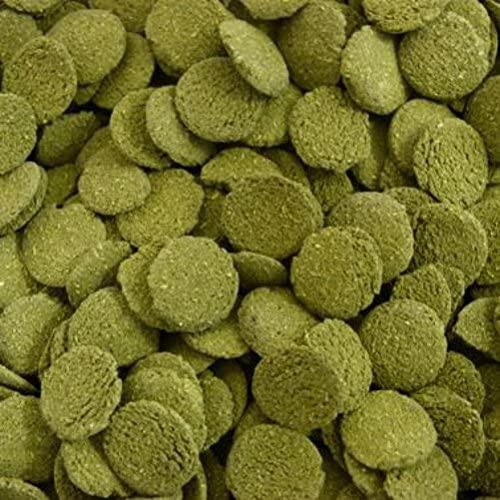  PROREZULT 6% Espirulina Algas obleas 200 g más plexiglás de plexiglás de Cichlid Catfish Pellets 200 g. Pack de Cada alimento Gran Valor. Alimento para Algas y Parte Inferior de Pescado 