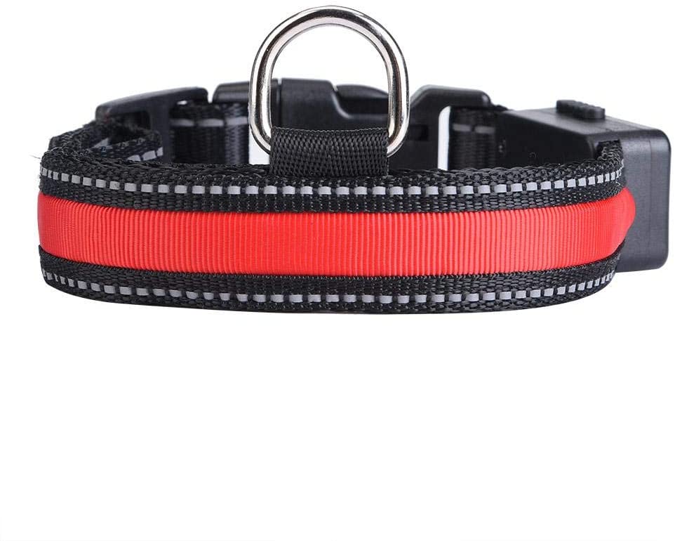  Pssopp Collar de Perro LED, USB Recargable Que Brilla intensamente Collar de Perro de Mascota Luz de Seguridad Collares de Nylon Collares para Perros pequeños, medianos y Grandes(Rojo, L) 