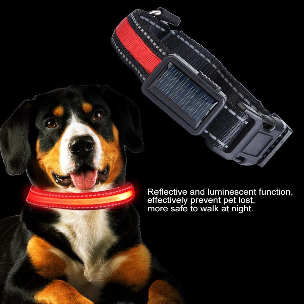  Pssopp Collar de Perro LED, USB Recargable Que Brilla intensamente Collar de Perro de Mascota Luz de Seguridad Collares de Nylon Collares para Perros pequeños, medianos y Grandes(Rojo, L) 