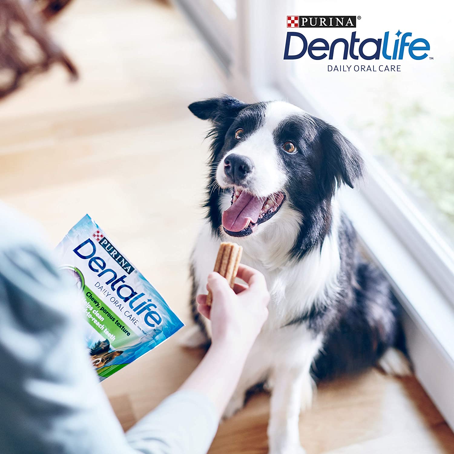  Purina DentaLife - Aperitivos de Cuidado Dental Diario para Perros 