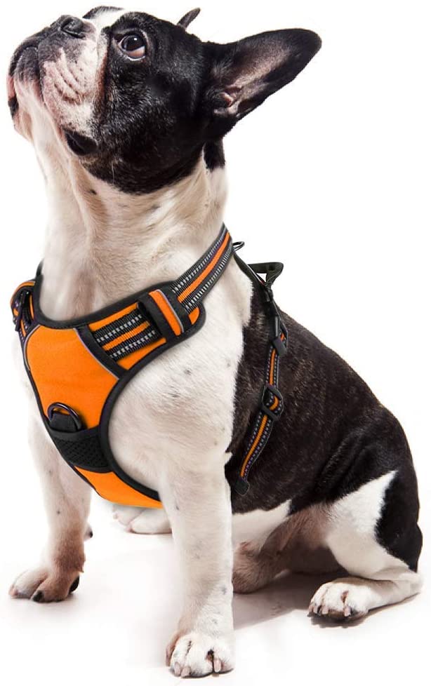  rabbitgoo Arnes Antitirones Perro Ajustable con Lineas Reflectantes Arnés Coche Perro Coche Adiesreamiento Arnes Perro Chaleco Transpirable con Asa Seguridad Easy Walk Pequeño Naranja 