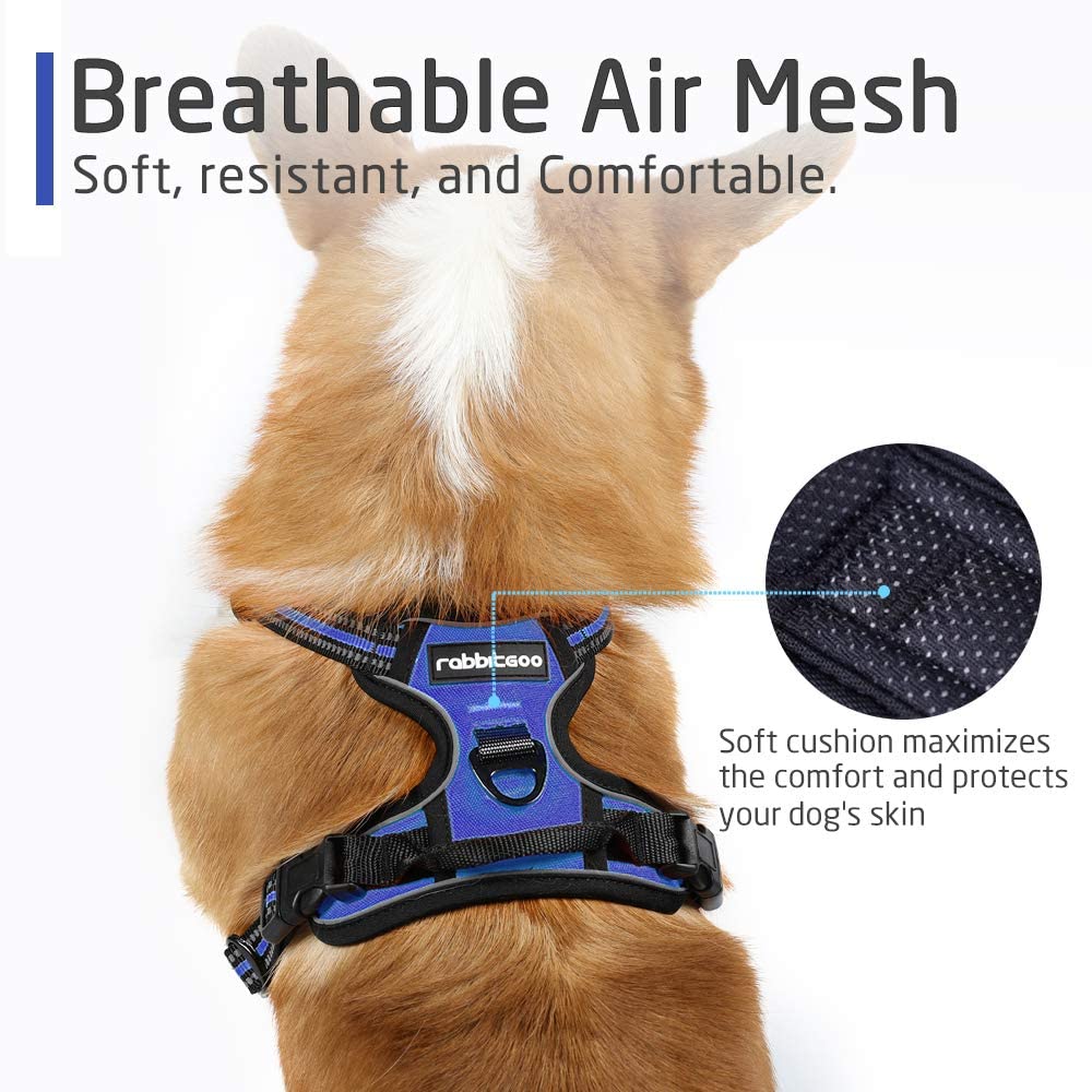  rabbitgoo Arnés Perro Mediano Azul Chaleco para Perro Arnes Antitirones Perros Anres Pecho Mediano para Perros Malla Cómoda Correas Reflectantes Color Azul Tamaño M Mediano 