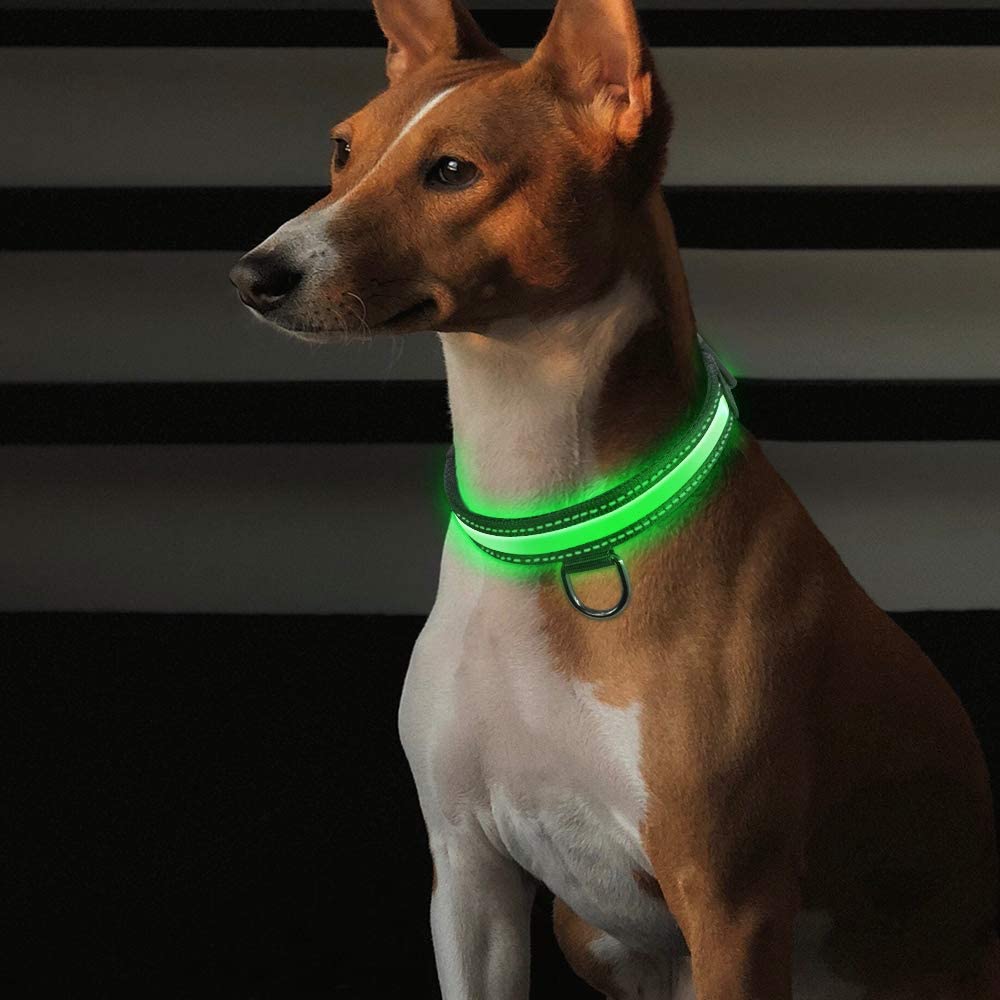  Raffaelo LED Collar para Perros, Intermitente Llevó Collar de Seguridad para Perros de LED de Nylon Luminous Que Brilla Recargable Collar Brillante de Seguridad para Los Perros (M-40-50CM) 