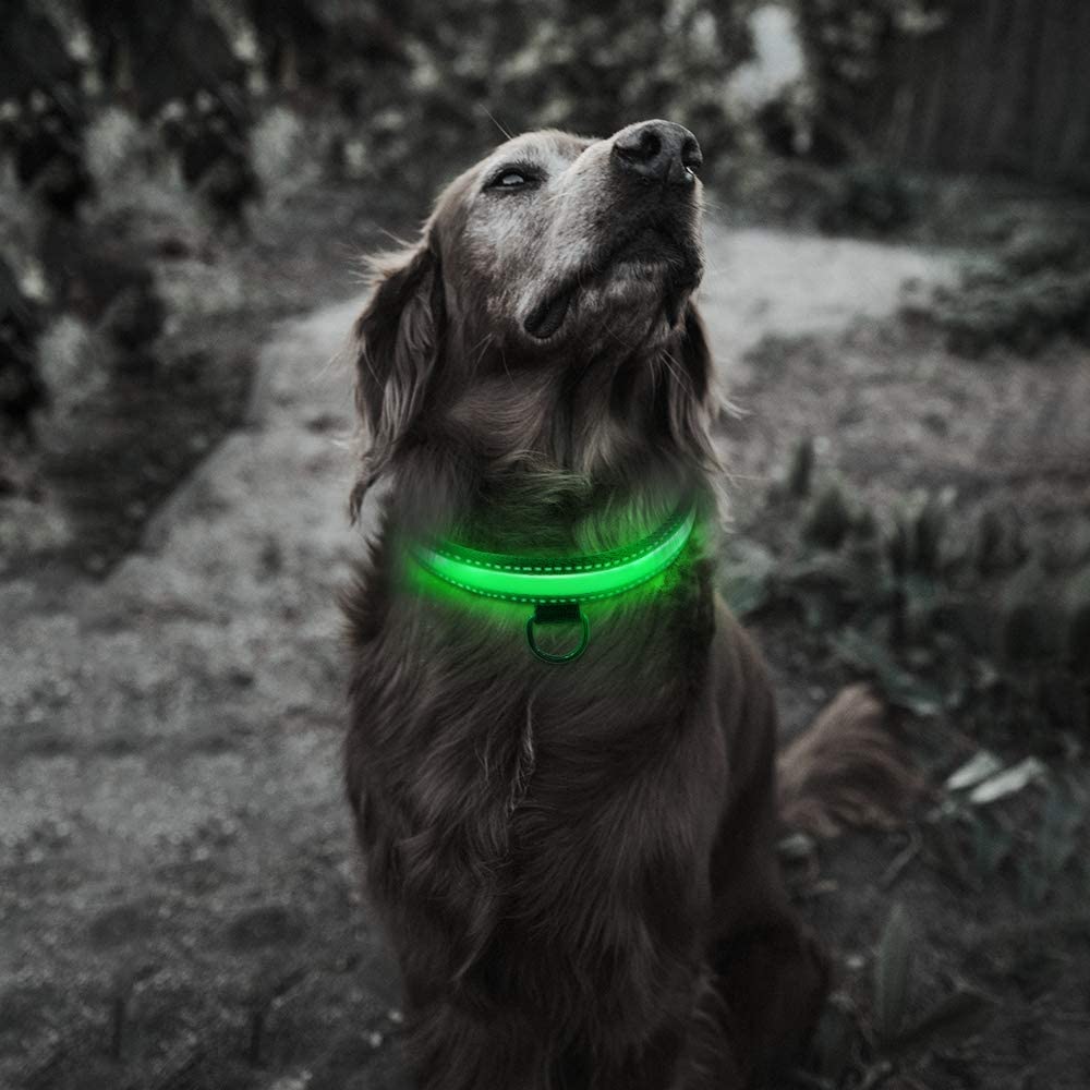  Raffaelo LED Collar para Perros, Intermitente Llevó Collar de Seguridad para Perros de LED de Nylon Luminous Que Brilla Recargable Collar Brillante de Seguridad para Los Perros (M-40-50CM) 