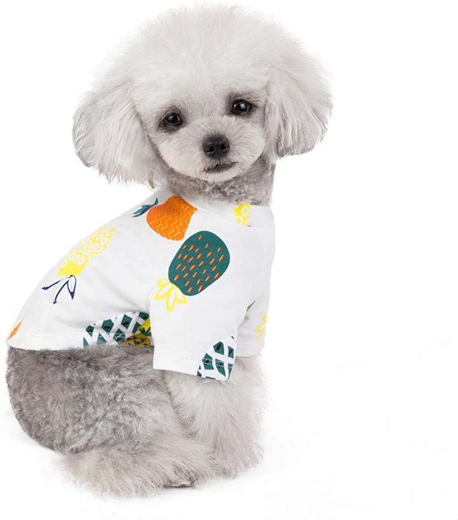  Ropa de Verano para Mascotas, Camiseta de Estampados de PiñA, Lindo Vestido para Perro y Gato, Vestido Princesa, para Pequeños y Medianos Yorkshire Chihuahua 