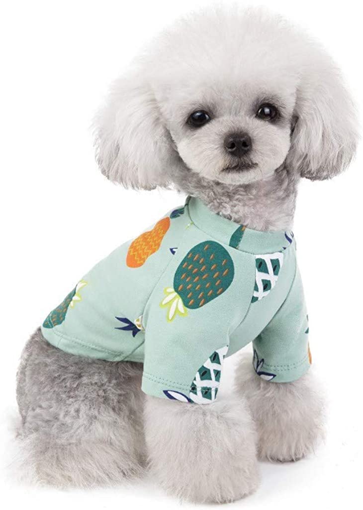  Ropa de Verano para Mascotas, Camiseta de Estampados de PiñA, Lindo Vestido para Perro y Gato, Vestido Princesa, para Pequeños y Medianos Yorkshire Chihuahua 