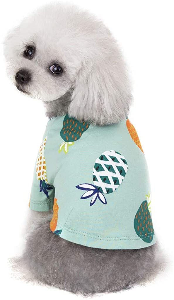  Ropa de Verano para Mascotas, Camiseta de Estampados de PiñA, Lindo Vestido para Perro y Gato, Vestido Princesa, para Pequeños y Medianos Yorkshire Chihuahua 