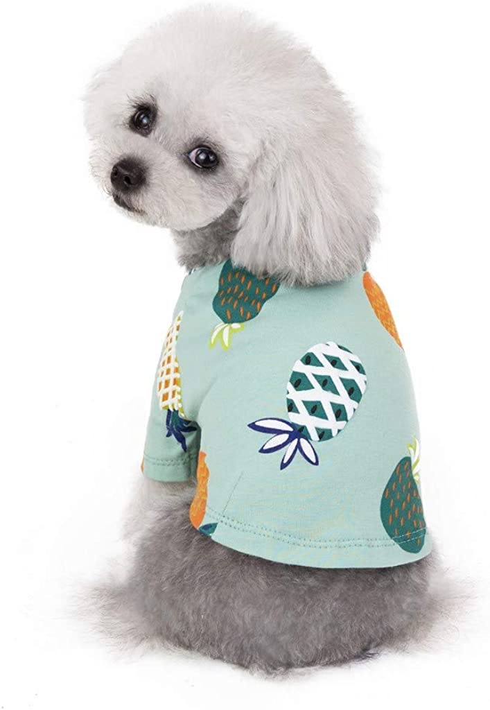  Ropa de Verano para Mascotas, Camiseta de Estampados de PiñA, Lindo Vestido para Perro y Gato, Vestido Princesa, para Pequeños y Medianos Yorkshire Chihuahua 