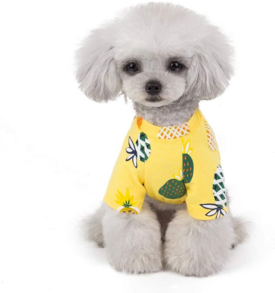  Ropa de Verano para Mascotas, Camiseta de Estampados de PiñA, Lindo Vestido para Perro y Gato, Vestido Princesa, para Pequeños y Medianos Yorkshire Chihuahua 