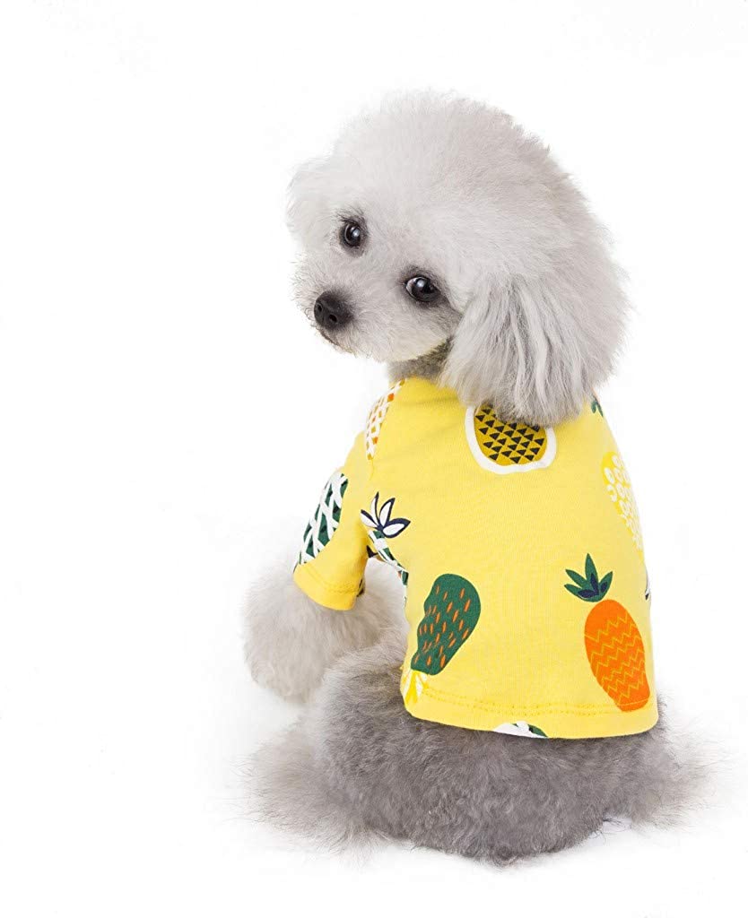  Ropa de Verano para Mascotas, Camiseta de Estampados de PiñA, Lindo Vestido para Perro y Gato, Vestido Princesa, para Pequeños y Medianos Yorkshire Chihuahua 