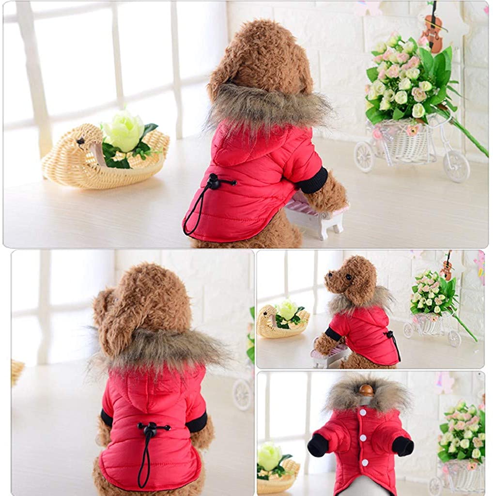  Ropa para Mascotas, Dragon868 Chaqueta con Capucha para Mascotas, Perro Gato otoño Invierno Abrigo cálido Ropa, Chaqueta Yorkshire Terrier Chihuahua Pomerania Peluche con Capucha 