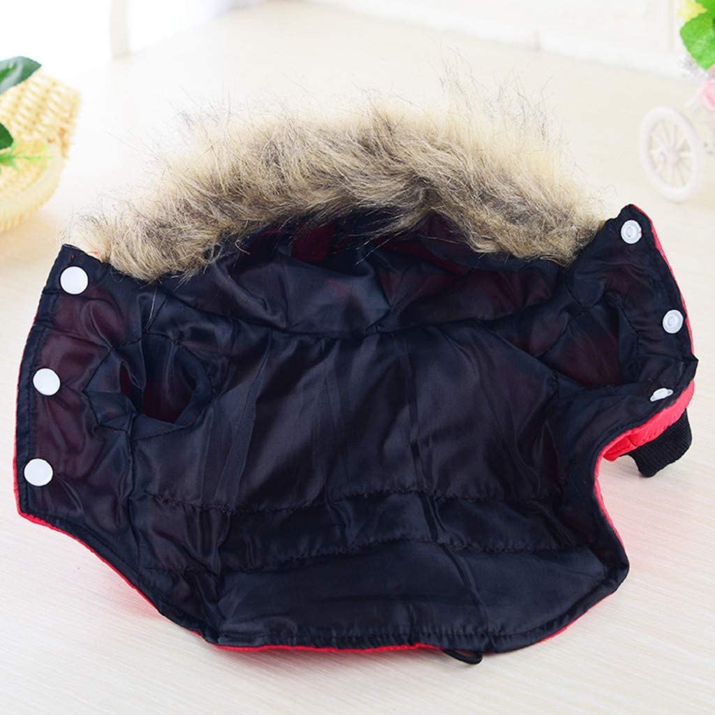  Ropa para Mascotas, Dragon868 Chaqueta con Capucha para Mascotas, Perro Gato otoño Invierno Abrigo cálido Ropa, Chaqueta Yorkshire Terrier Chihuahua Pomerania Peluche con Capucha 