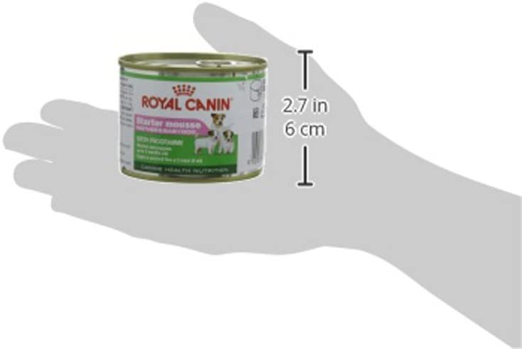  Royal Canin Starter Mousse, Comida para perros, 12x195 gr 