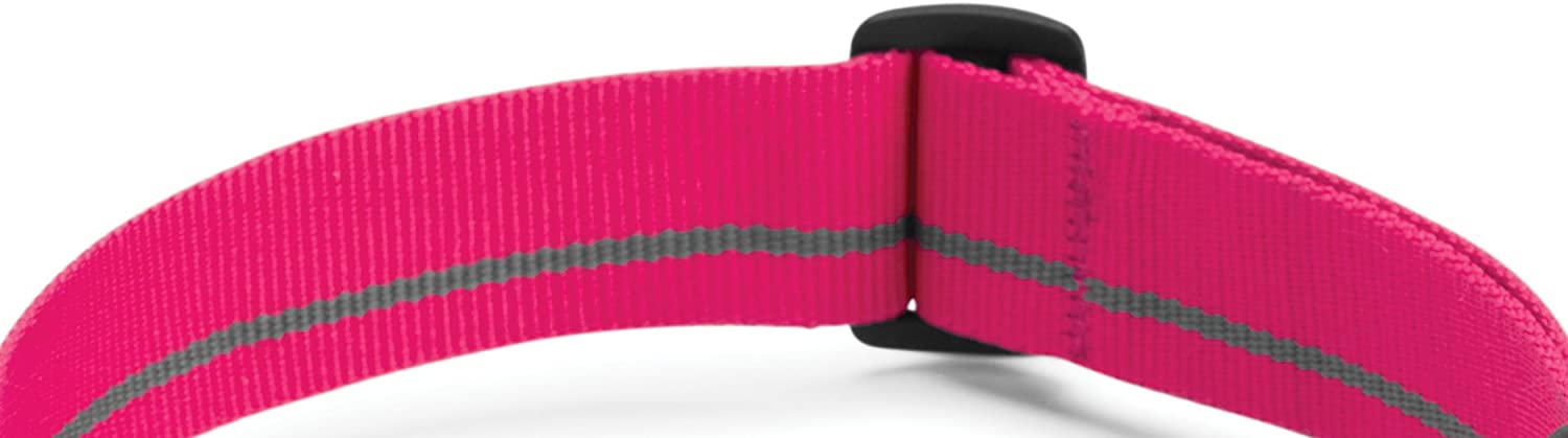  Ruffwear - Hoopie Collar, Color Wild Berry, Talla L 