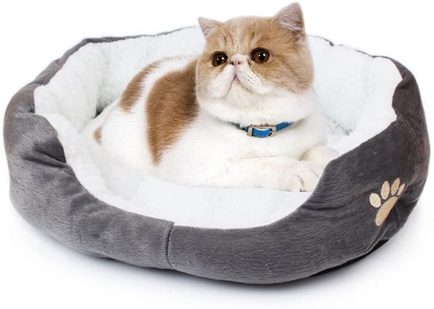  Saflyse Cama para Animal (Perros, Gatos) 