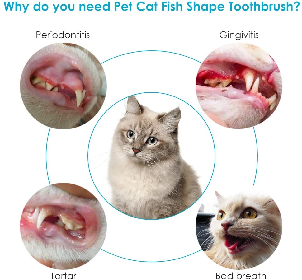  SEGMINISMART Cepillo de Dientes del Gato de Juguete, Interactivo Hierba gatera Juguete, Dientes limpios y Eliminar el Mal Aliento Bite Resistente La masticación de Juguetes 