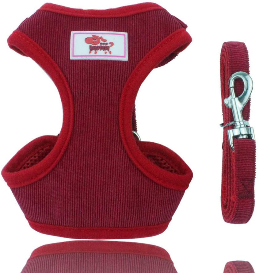  ShunHoo Conjunto de arnés y Correa de Perro Acolchado de Malla de Verano, Pana Chaleco de Gato Cachorros Perros Chihuahua Pug Bulldog francés Tienda de Mascotas 