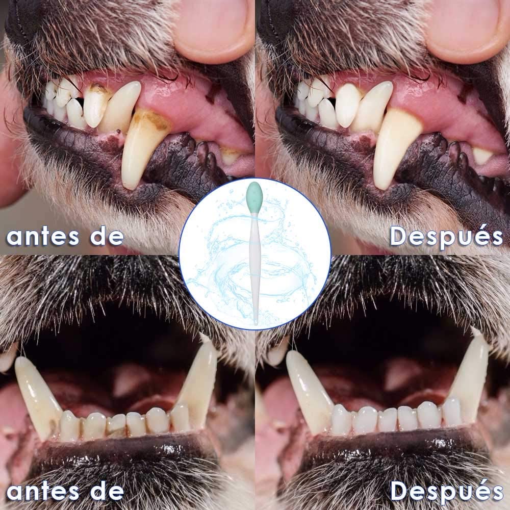  SlowTon Cepillo de Dientes para Perros, 4 Paquetes Silicone Pro de Doble Cara, Suave y Suave Cepillos dentales Suaves Juego de Kit con 5,7 Pulgadas Mango Largo Curvado para Perros Gatos. 