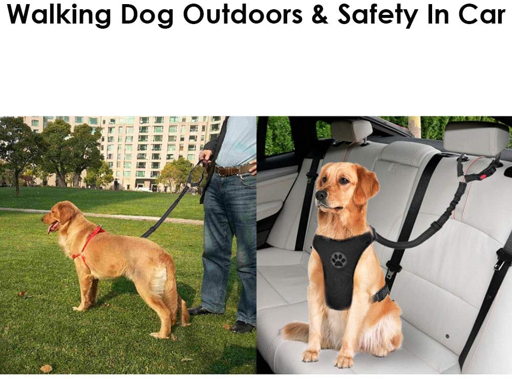  SlowTon Cinturón de Seguridad para Perros, Paquete de 2 Cinturón de Seguridad para el Asiento del cajero con Banda elástica y Reflectante Se Conecta con el vehículo con Brazo (Negro) 