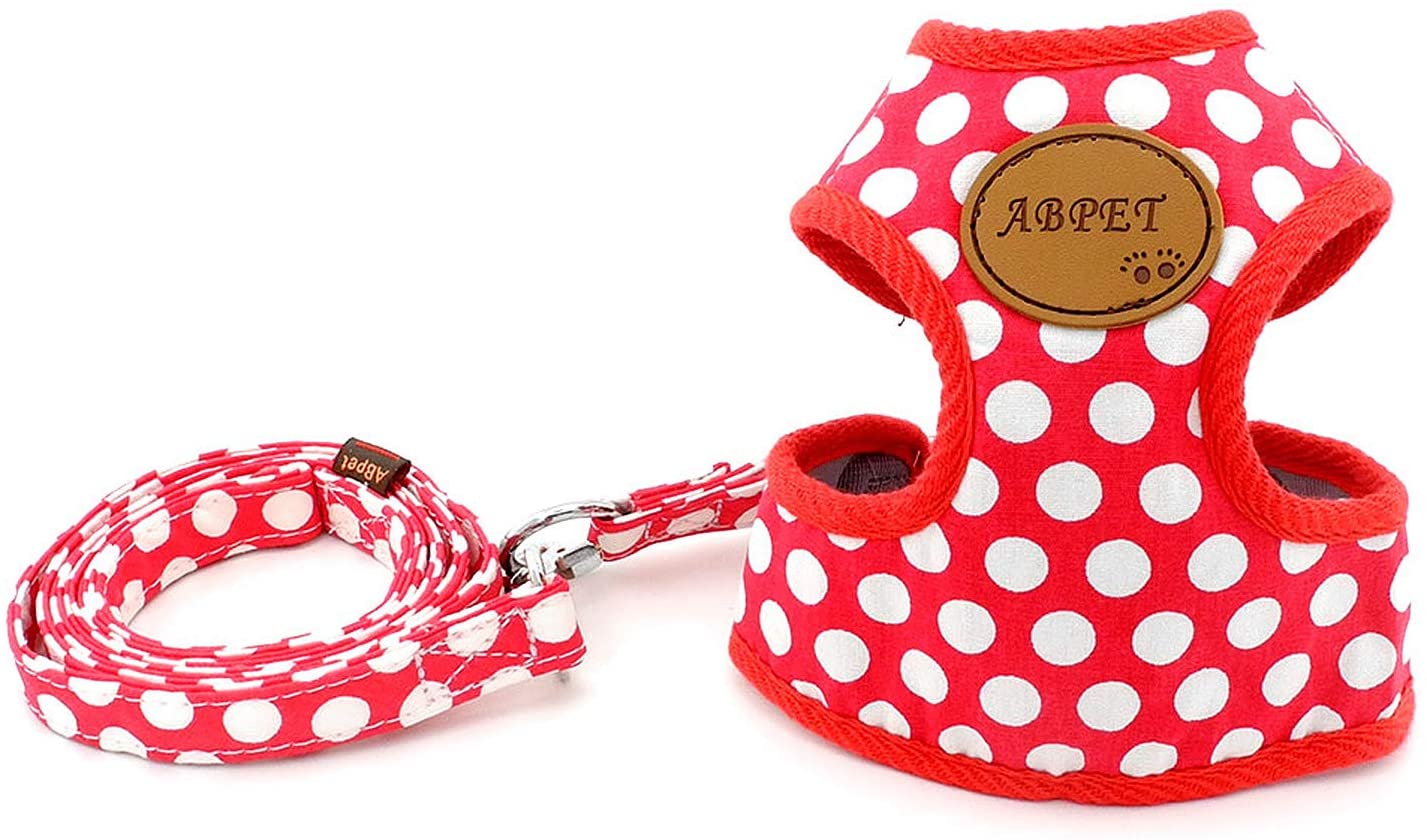  smalllee_lucky_store Chaleco para Mascota, Suave Malla de Nailon, para Mascota, Gato pequeño y Perro Mediano. Conjunto de arnés con Correa para Perro, Talla S. 