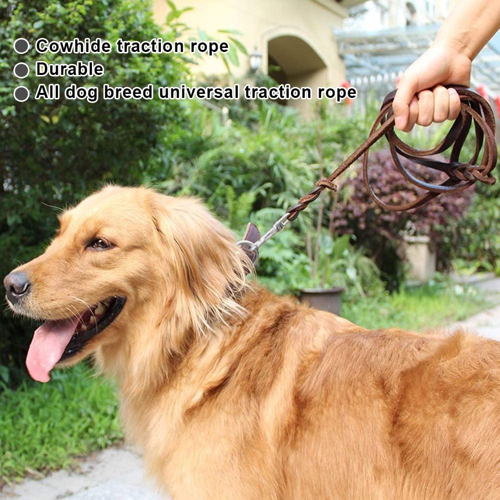  Smandy Correa de Perro de Cuero, Correa de Cuero de la Cuerda de Seguridad de la Correa del Plomo del Perro del Animal doméstico para Caminar el Entrenamiento Corriente(1.6m) 