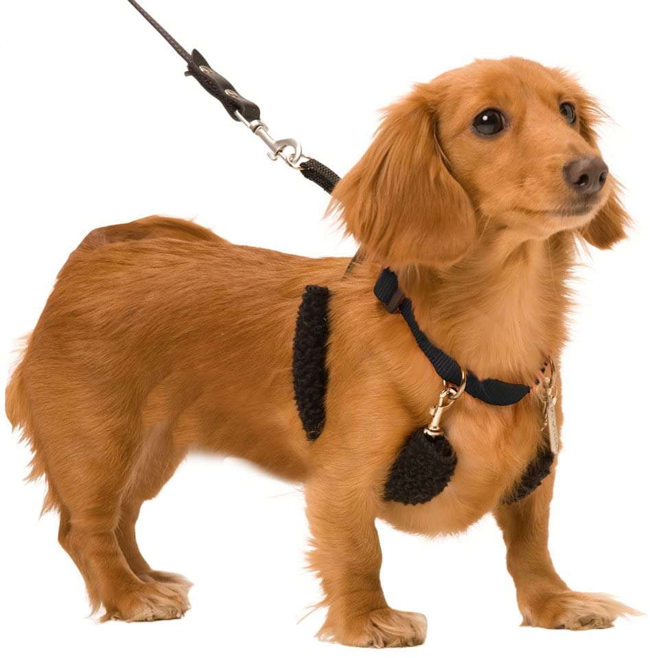  Sporn Halter - Arnés de Entrenamiento para Mascotas sin Asfixia, fácil de Meter en el Chaleco para el Control y Las Mangas de Sherpa, tecnología patentada de Control de tirones para Perros 