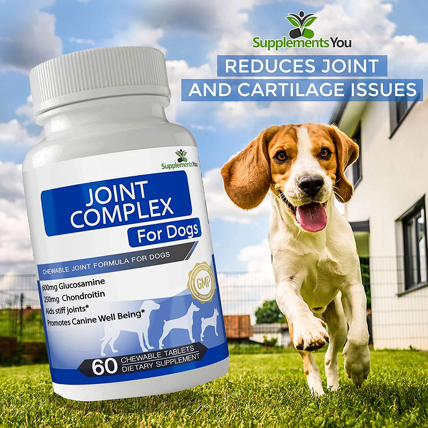  Suplemento nutricional para perros - Articulaciones de complejo - 60 kautabletten 