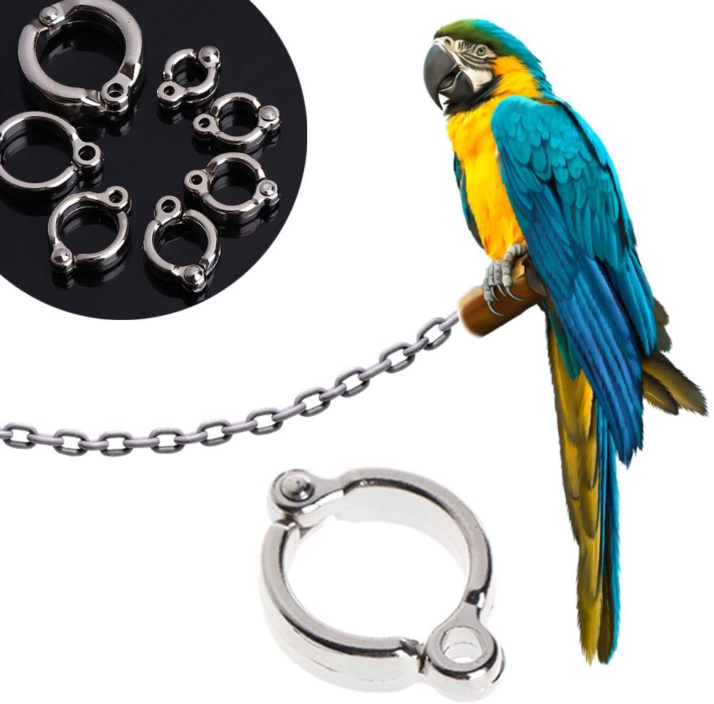  Tandou - Anillo para pájaros con Cuerda para el pie, Accesorio para Exteriores 